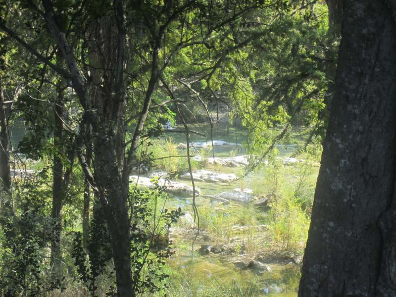 The view from outside a screened shelter in the River Crossing Camping Area.