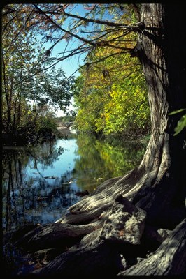 IMG0032_400x600.jpg