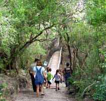 trail_lsl_211x200.jpg