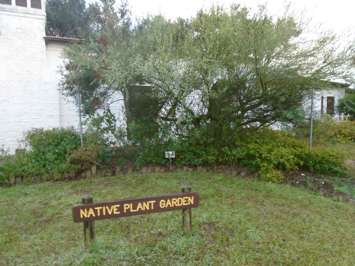 There is a native plant garden outside the Rec. Hall. 