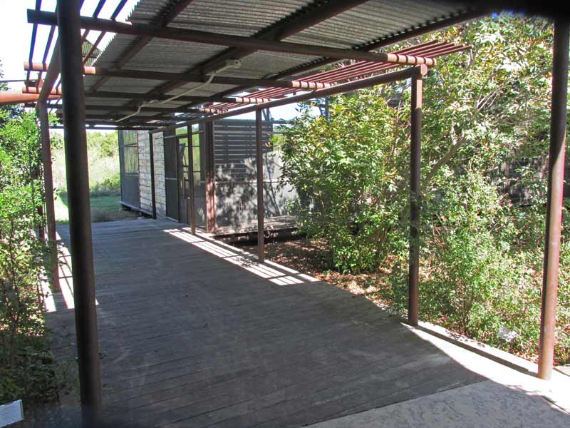 Sidewalk that leads from Gallery to restrooms.