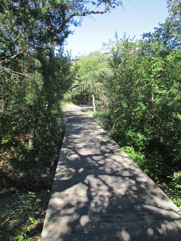 Sidewalk from parking area to pavilion