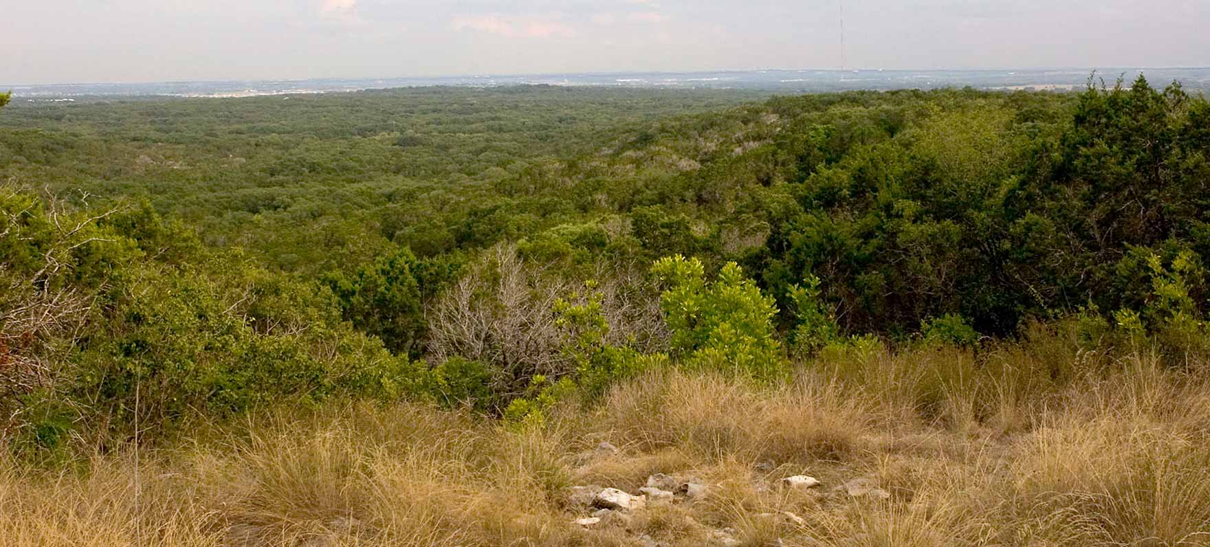 Government Canyon Panorama