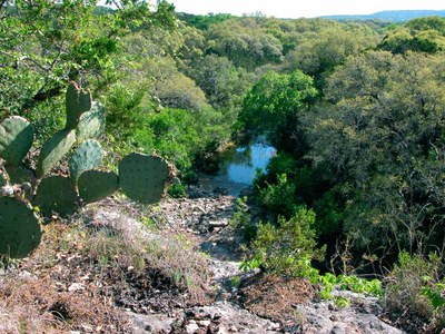 Scenic view over Government Canyon