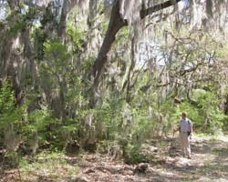 hiker_250x200.jpg