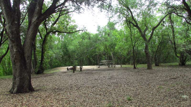 Walk-in Campsite #93 in the Wagon Ford area. 