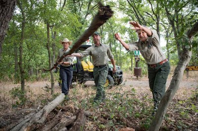 Volunteers in Woods at McKinney Falls