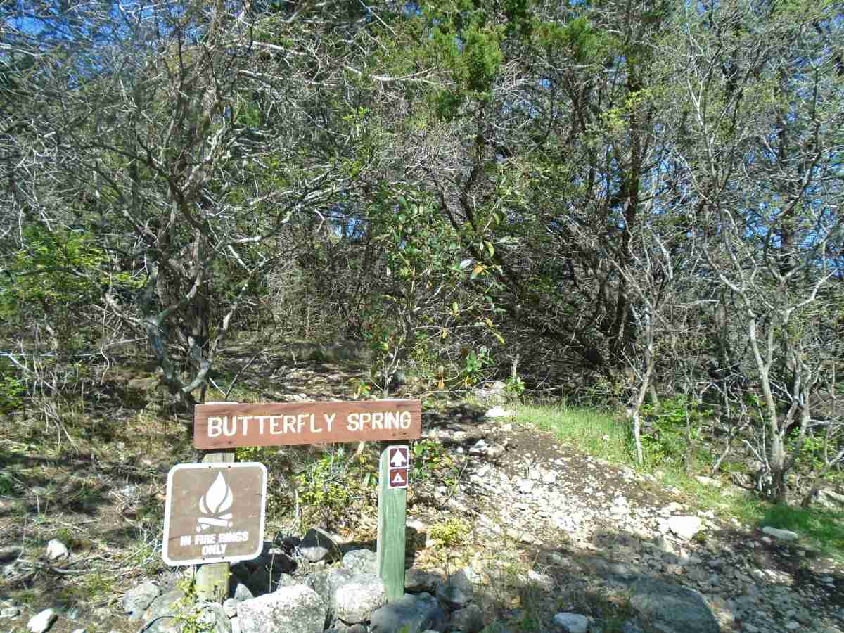 Entry to Butterfly Springs camping area.