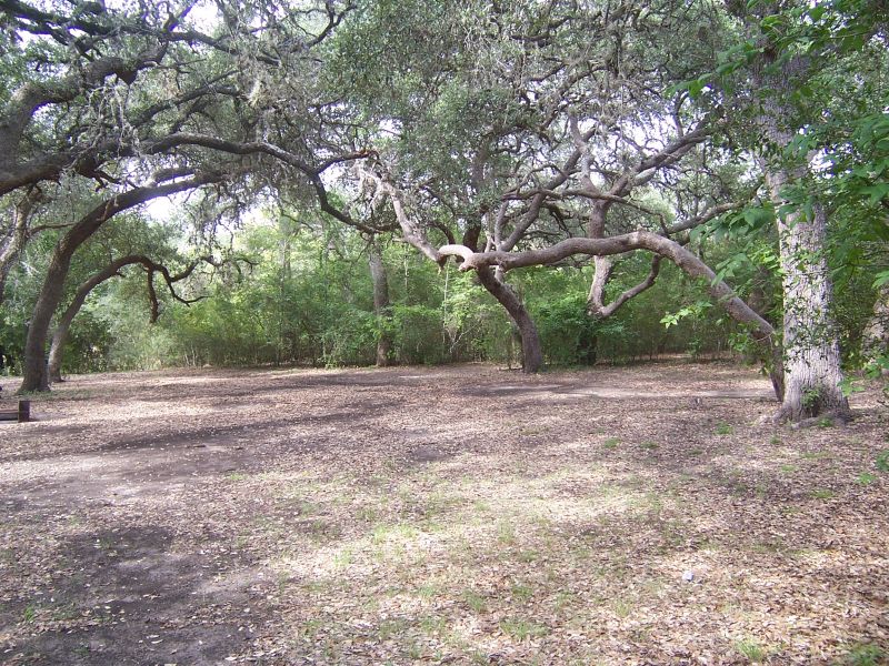 Site #129
