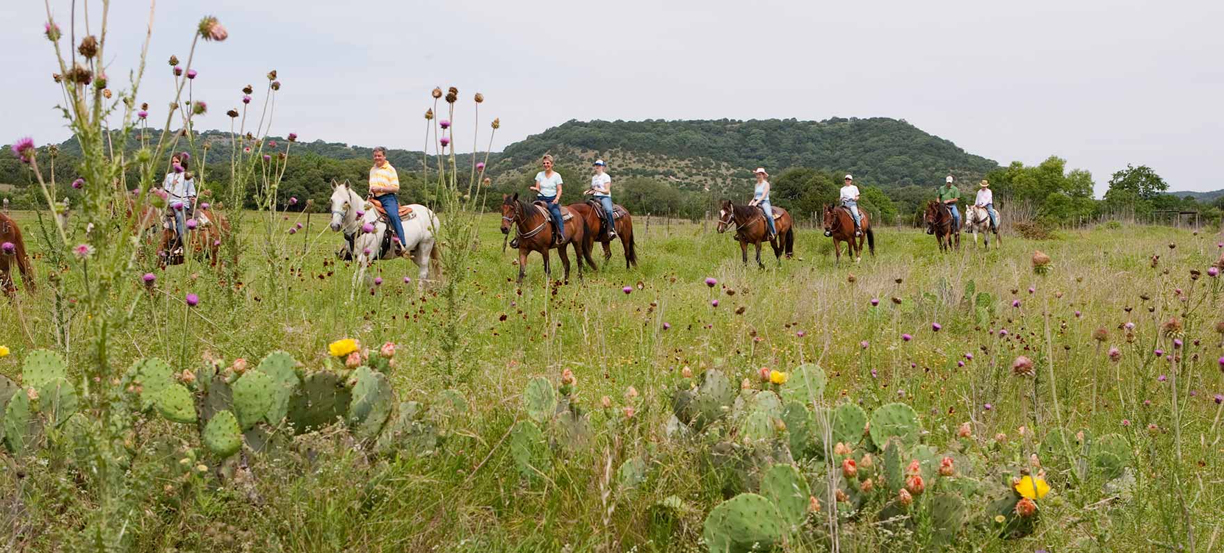 Wildflowers & Horseback Riders