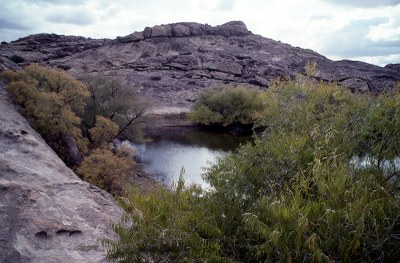 Basin in rocks filled with water and surrounded by plants.