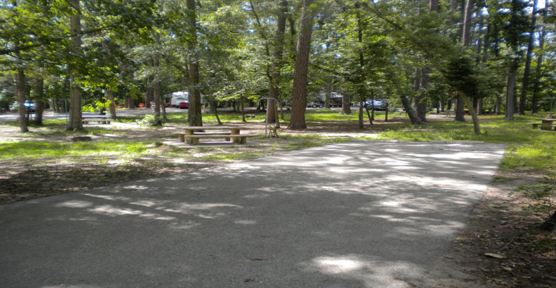 Coloneh Camping Area.