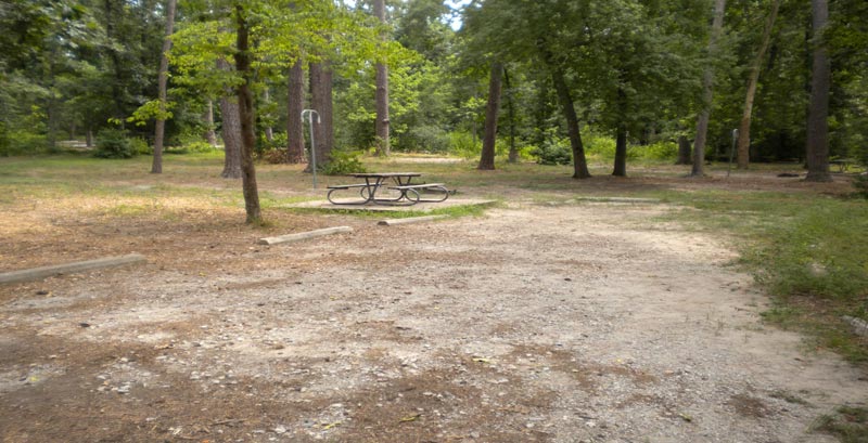 Prairie Branch Camping Area. 