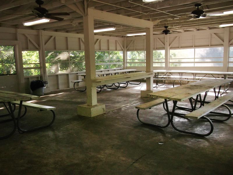 Inside are picnic tables, lights, and ceiling fans. 