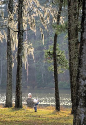 Man sitting in lawn chair under trees at lakeside.