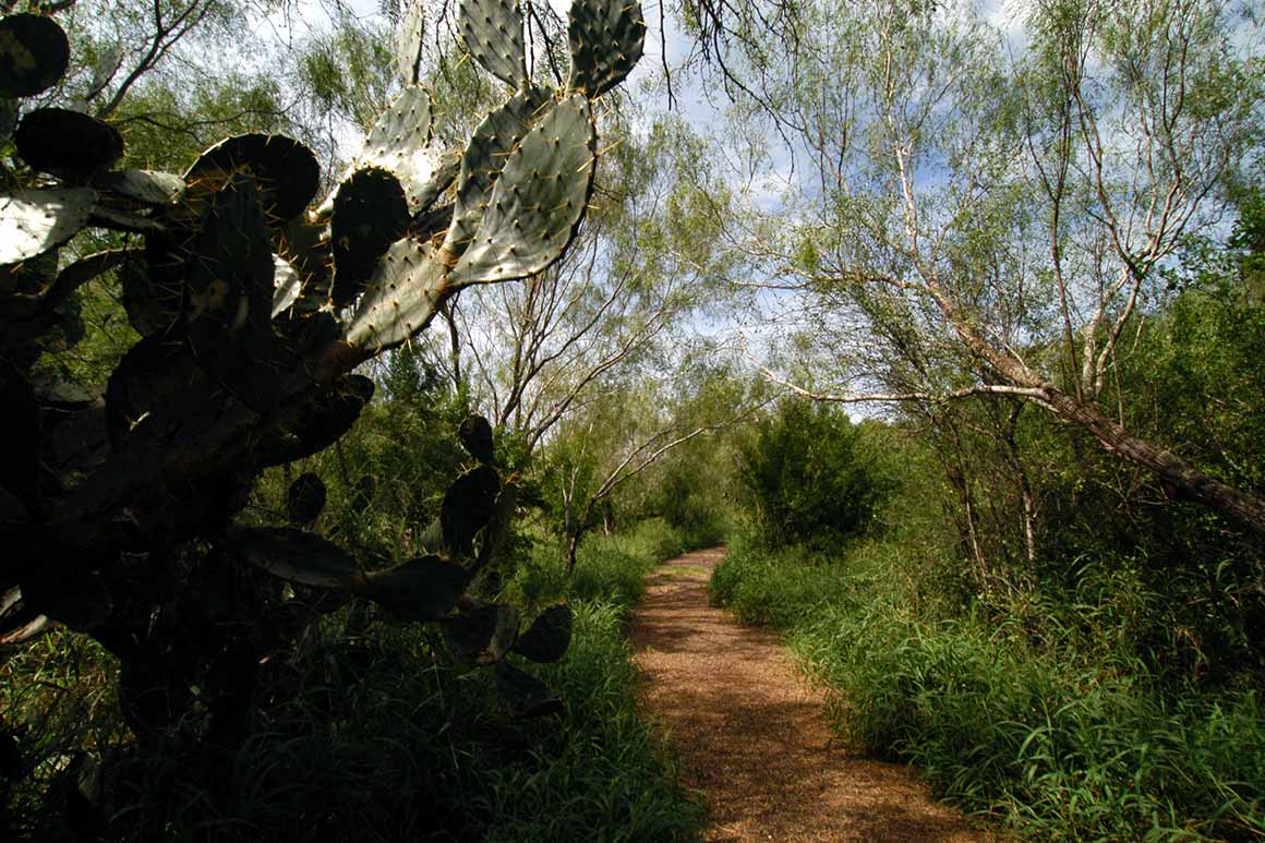 Bentsen RGV Rio Grande Trail