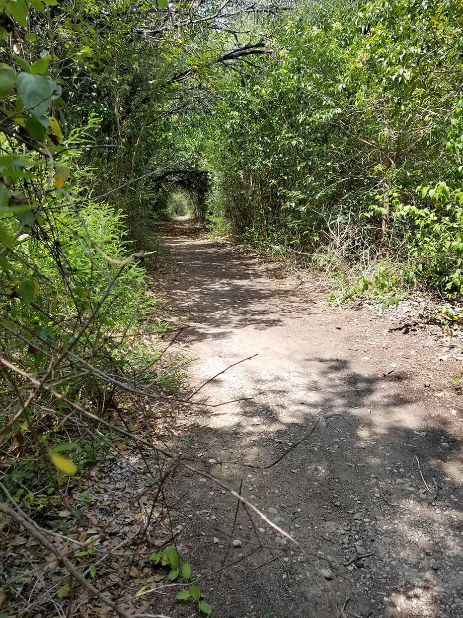 Caswell Nature Trail - Blanco State Park