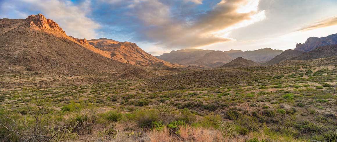 Chinati Mountains State Natural Area