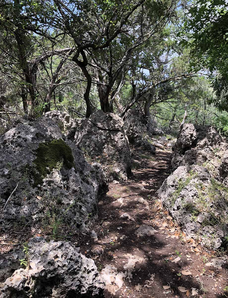Curry Creek Overlook Trail