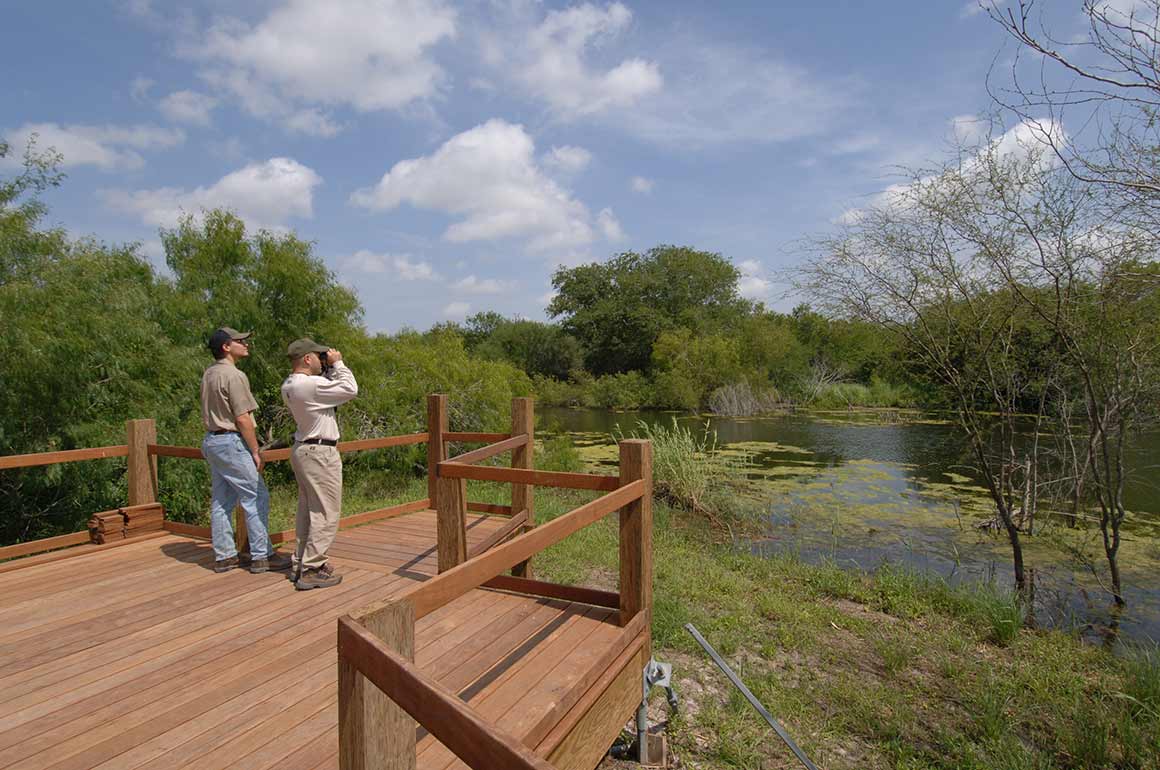 Alligator Lake - Estero Llano Grande State Park