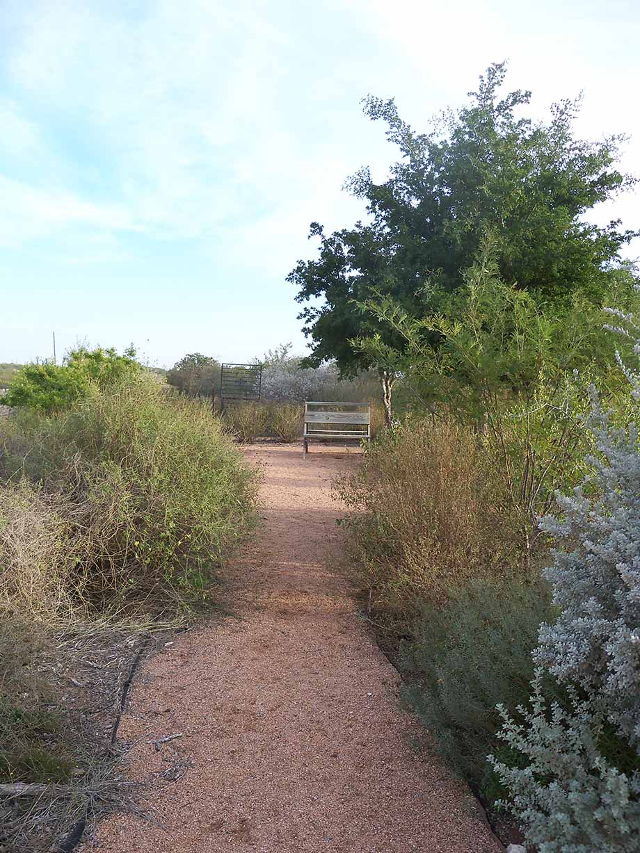 Trail - Falcon State Park