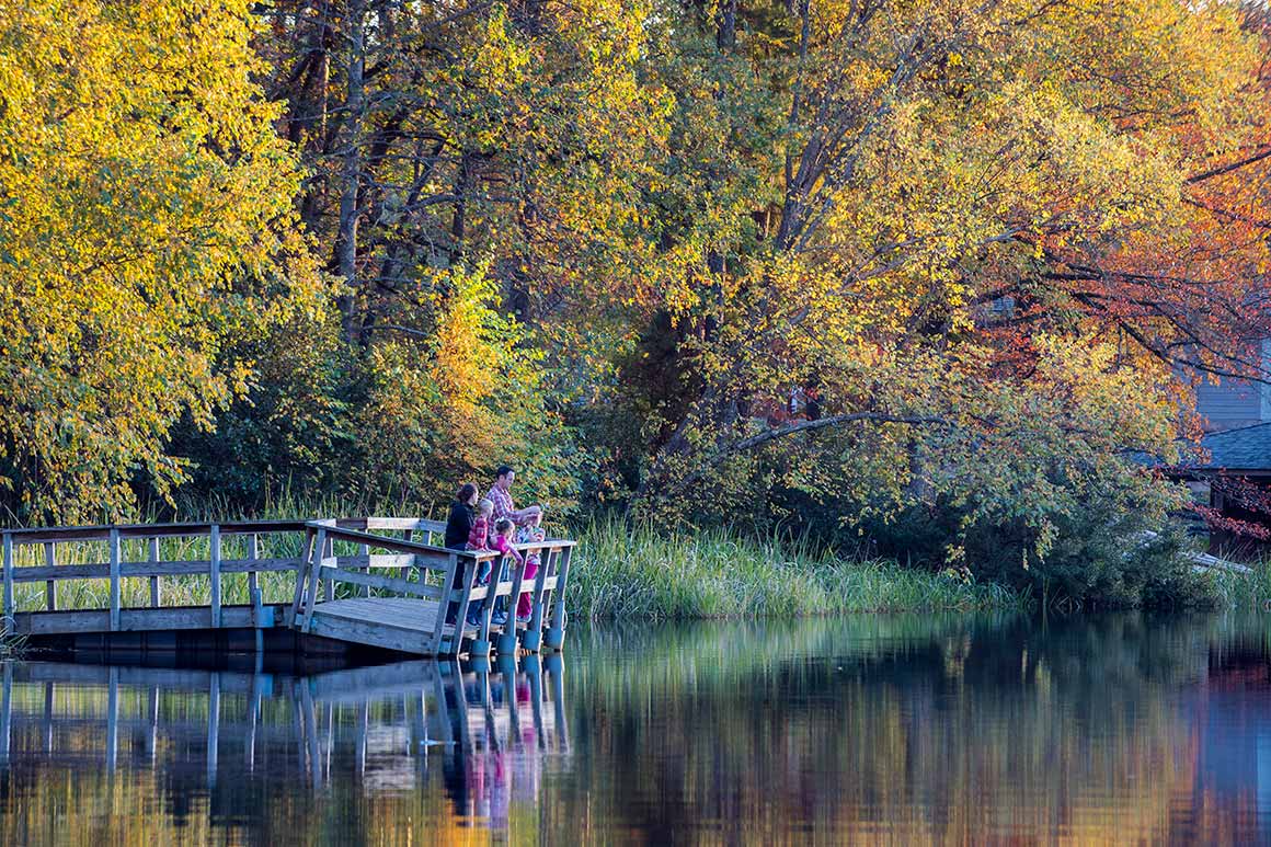 Fall for Parks