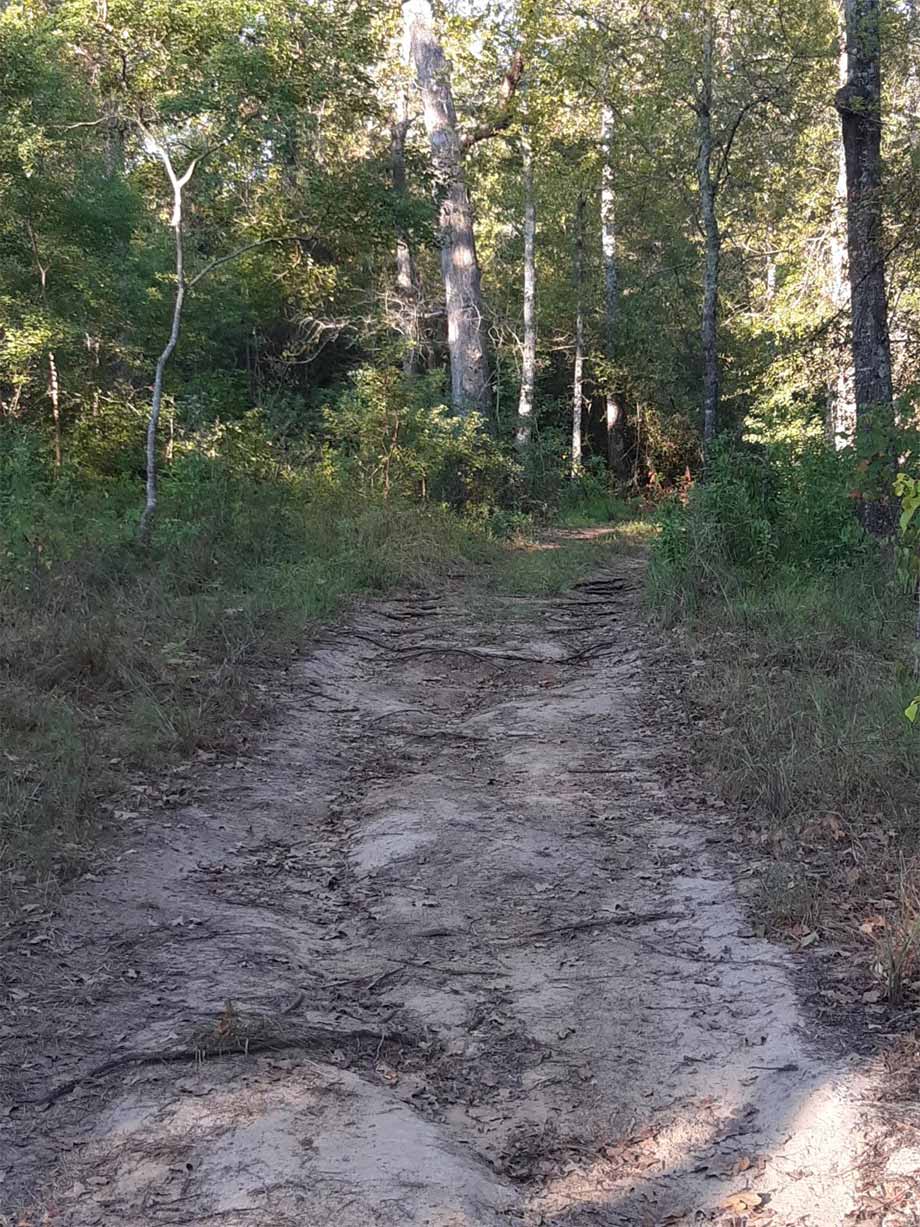 Lake Trail - Fort Boggy State Park