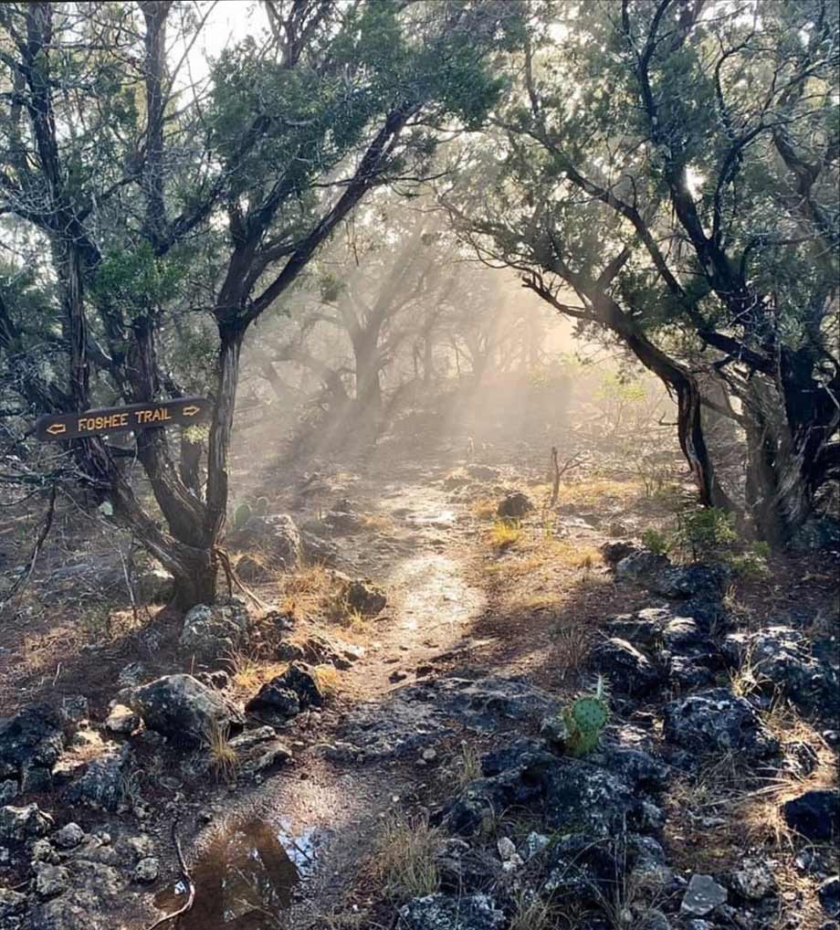 Foshee Trail - Garner State Park