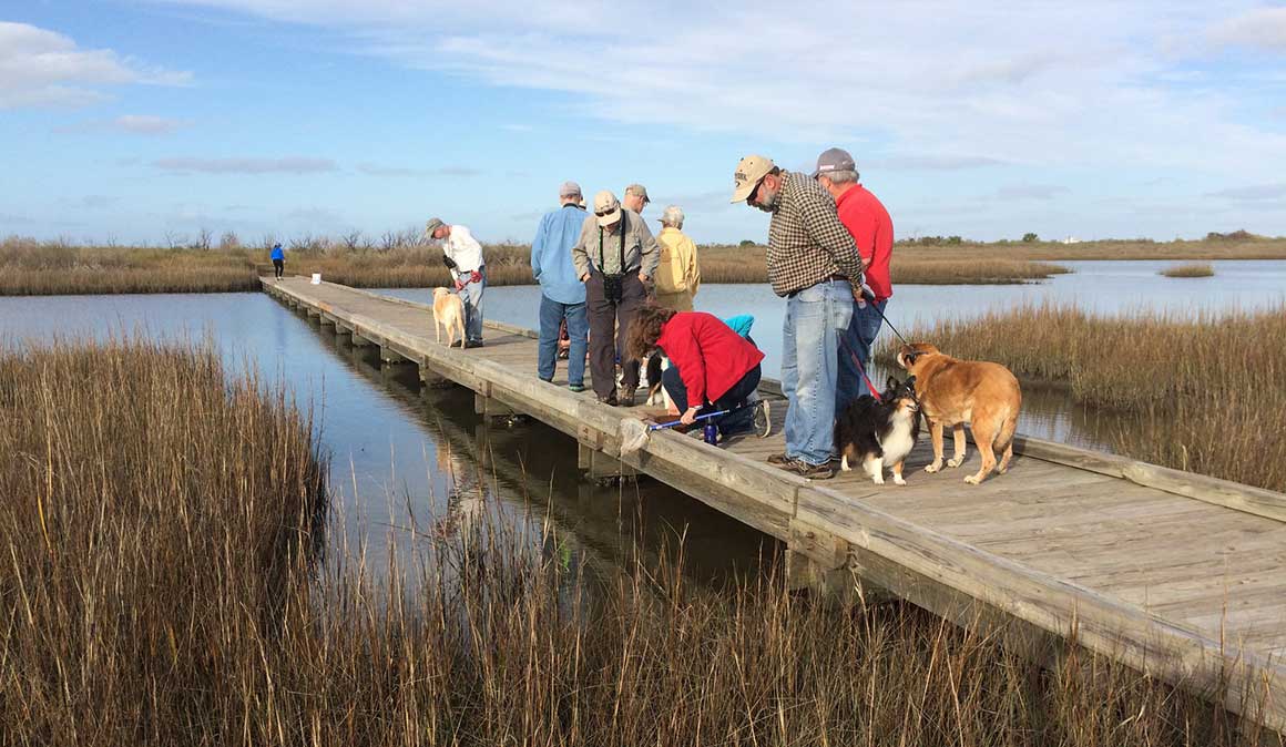 Hikers on Galveston boardwalk
