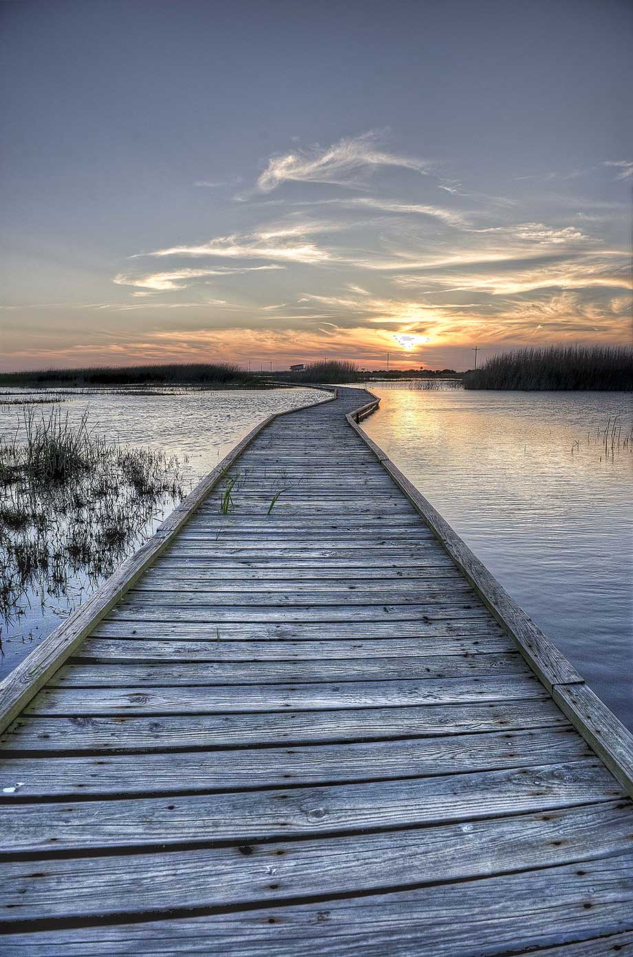 Gambusia Boardwalk @Sea Rim State Park
