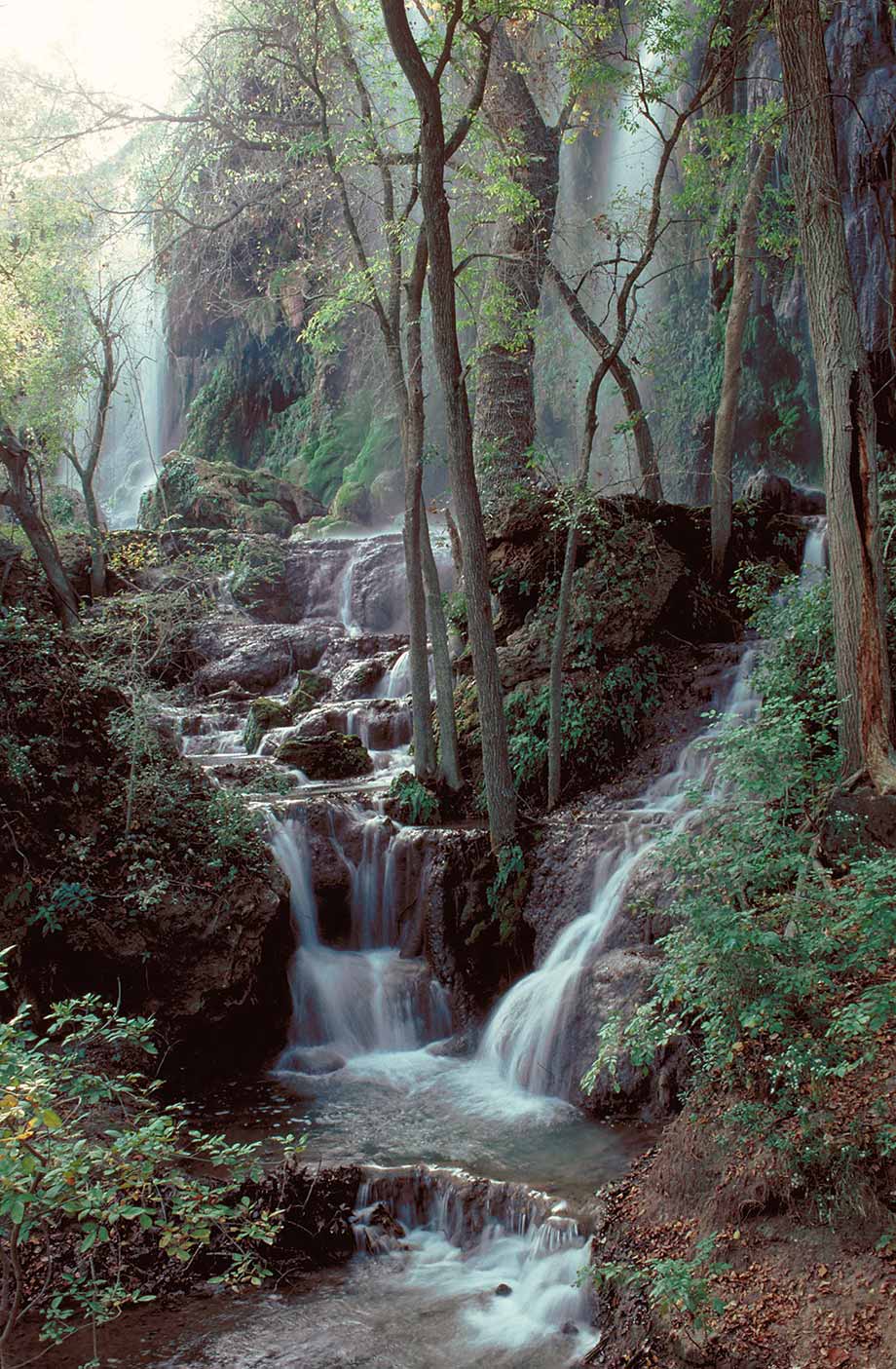 Gorman Falls Colorado Bend State Park