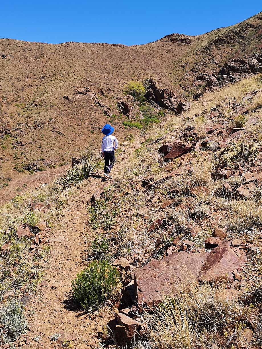 Hiking West Cottonwood Spring Franklin Mtns