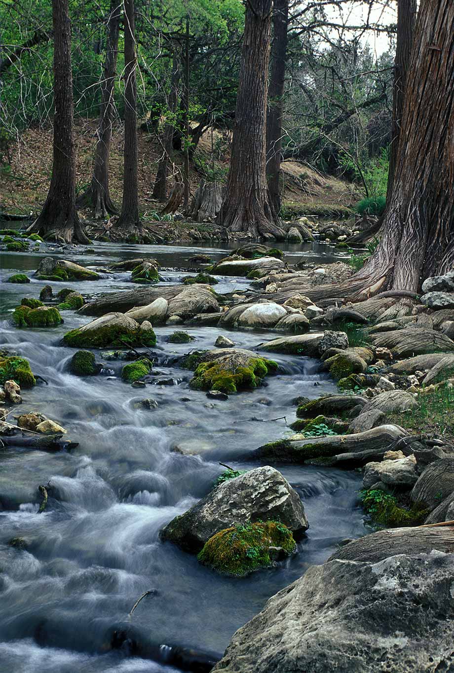 Honey Creek