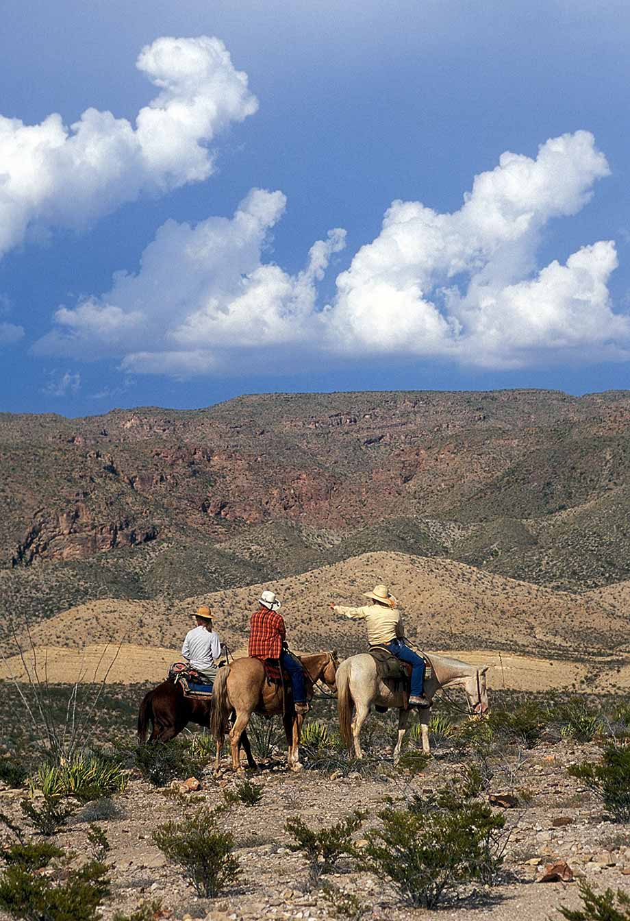 horseback riders