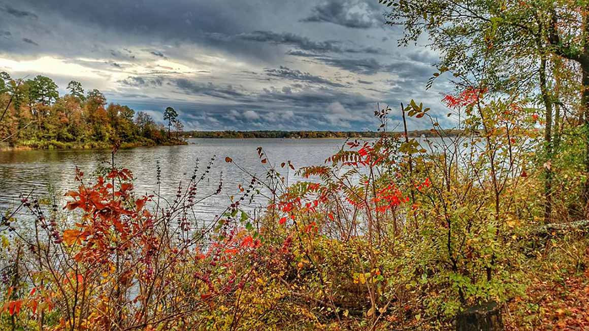Lakeview Loop trail in Lake Bob Sandlin State Park