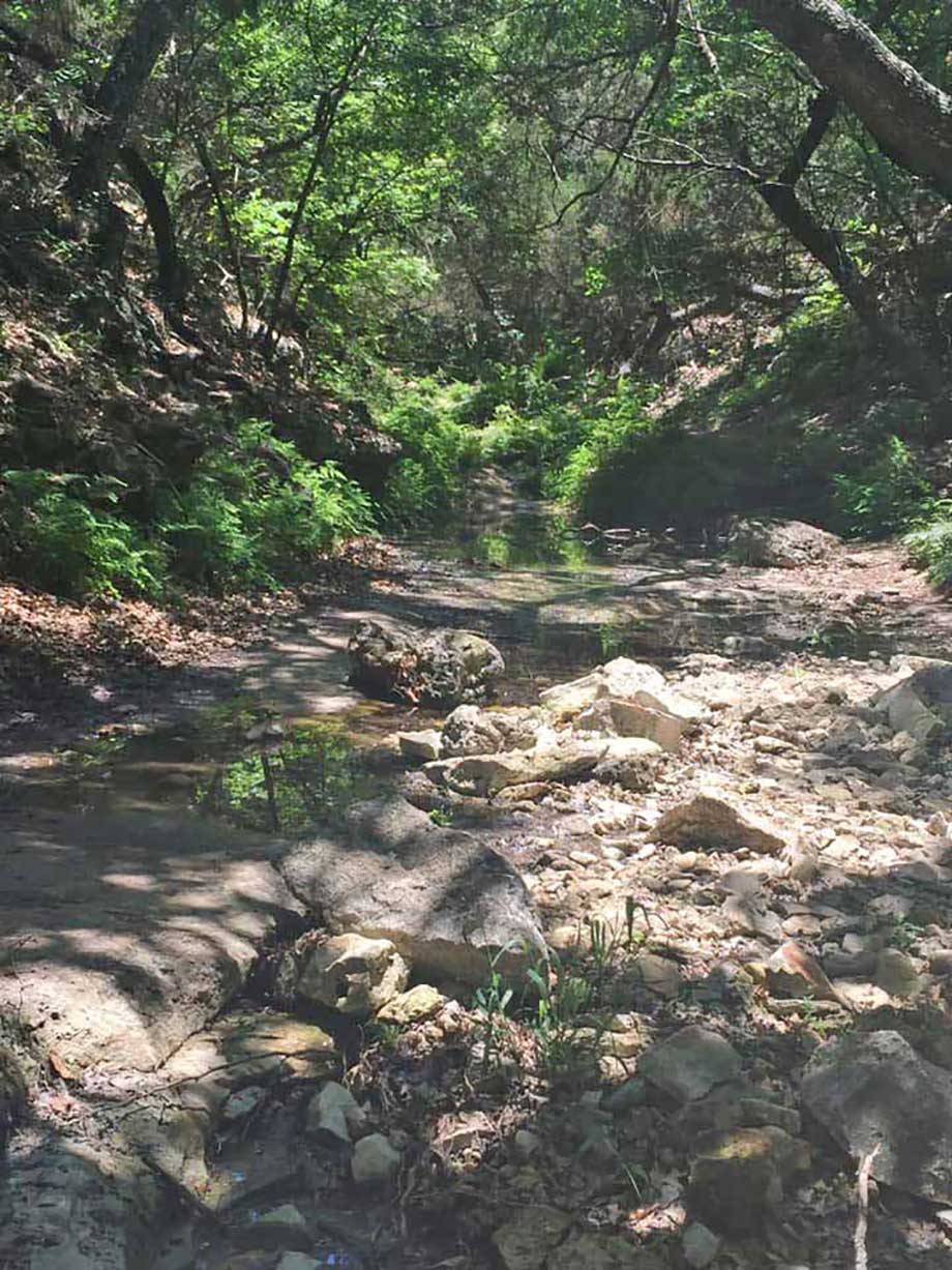 West Trail in Lost Maples State Park