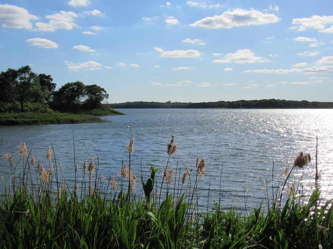 Nature Trail in Fairfield Lake State Park