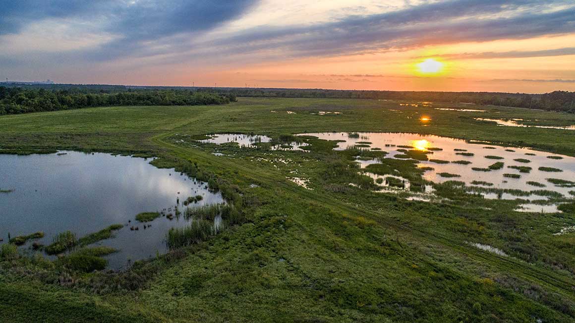 Sheldon Lake State Park