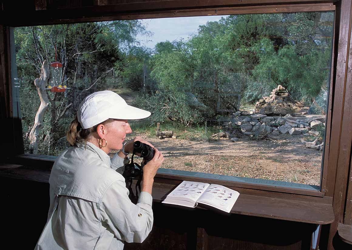 South Llano River birding