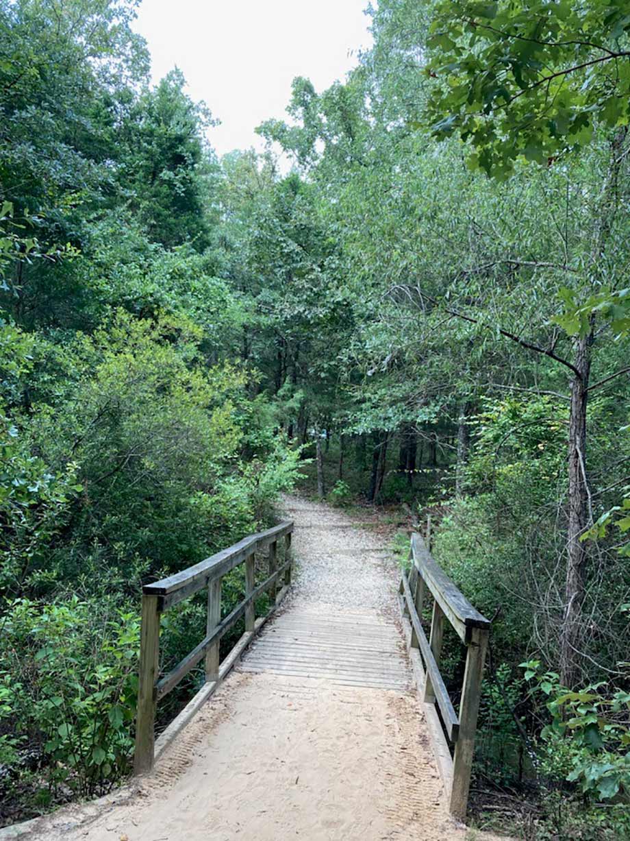 Trail bridge - Purtis Creek State Park