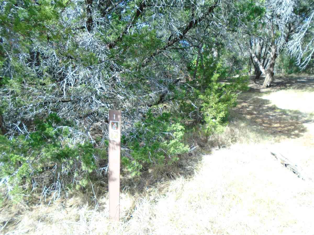 Hike-in Primitive Campsite #1.