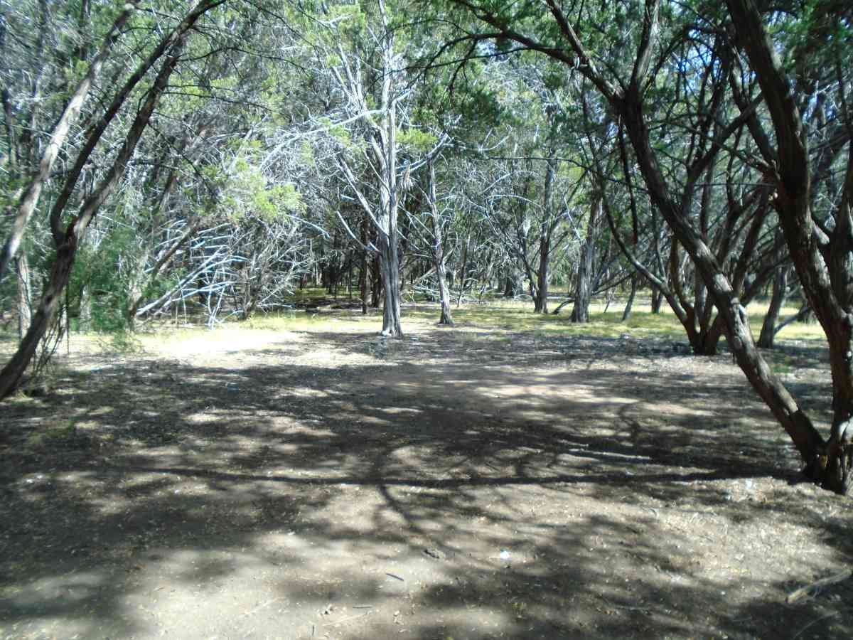 Hike-in Primitive Campsite #1.