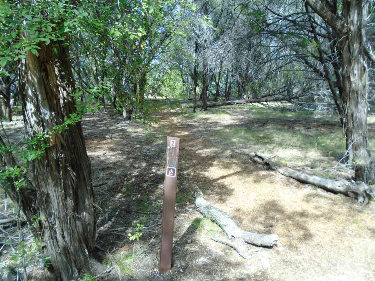 Hike-in Primitive Campsite #2.