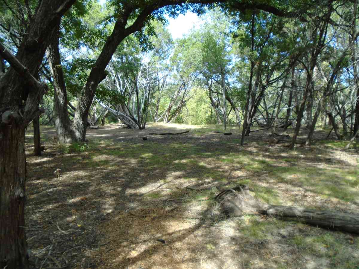 Hike-in Primitive Campsite #2.