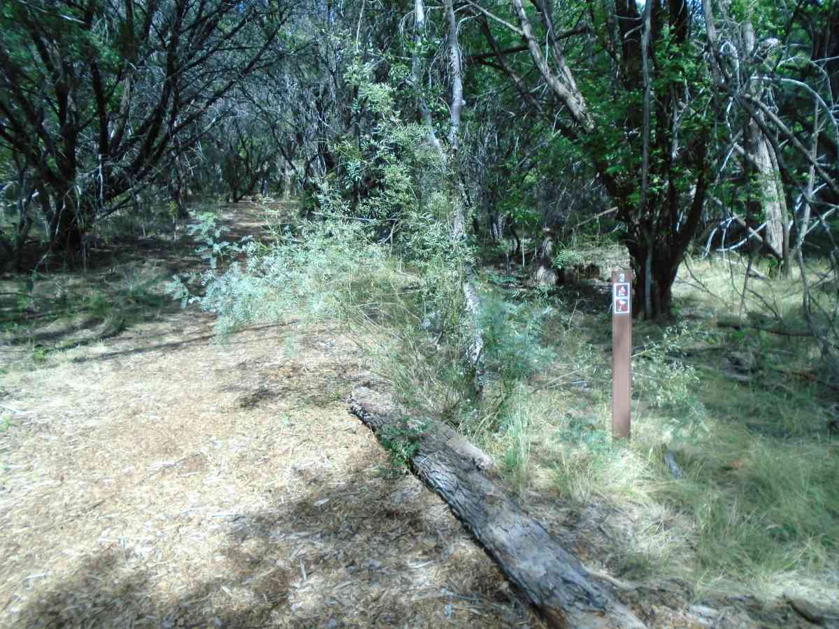Hike-in Primitive Campsite #3.