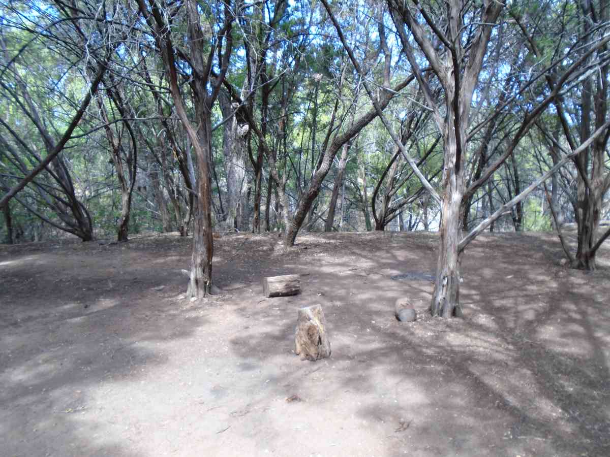 Hike-in Primitive Campsite #3.
