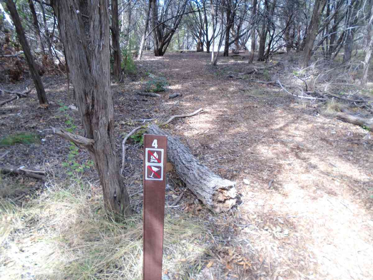Hike-in Primitive Campsite #4.