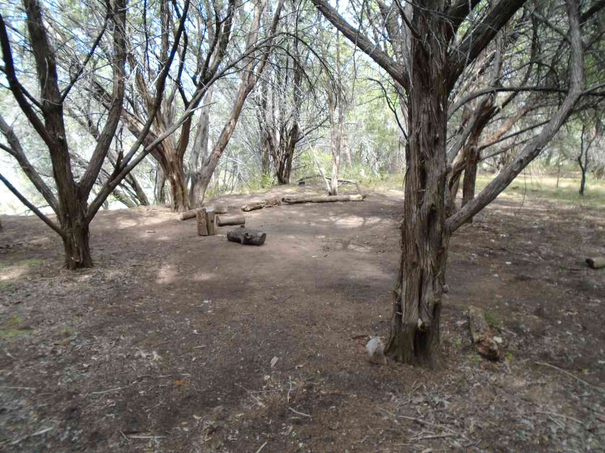 Hike-in Primitive Campsite #4.