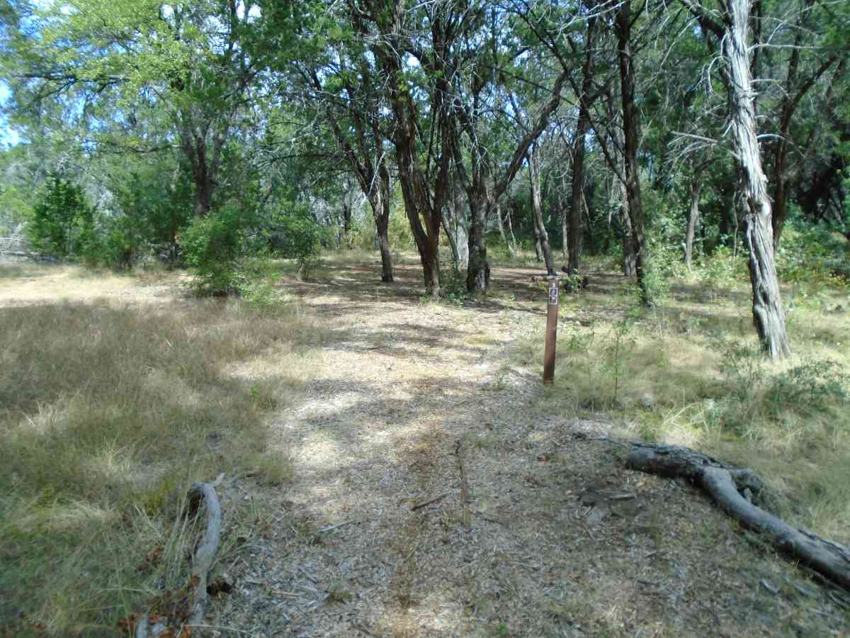 Hike-in Primitive Campsite #5.