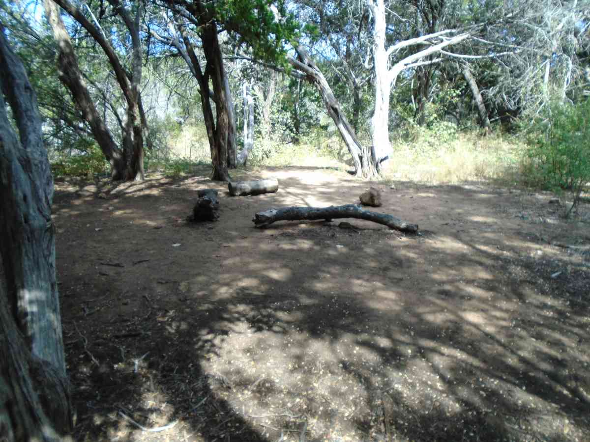 Hike-in Primitive Campsite #6.